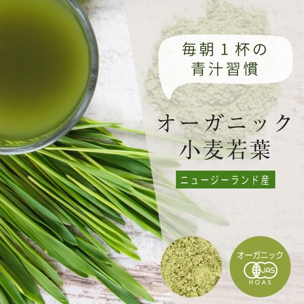 有機 小麦若葉 ニュージーランド産 100g 送料無料 ニチエー 有機 小麦若葉 ニュージーランド産 100g 送料無料 ニチエー