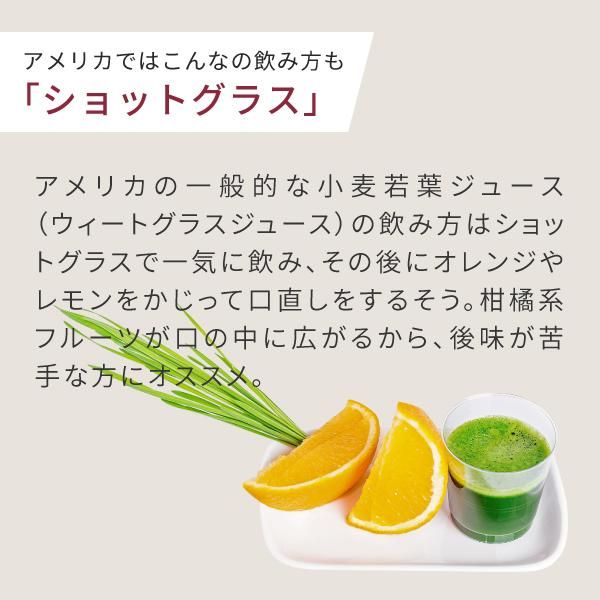 有機 小麦若葉 ニュージーランド産 100g 送料無料 ニチエー 有機 小麦若葉 ニュージーランド産 100g 送料無料 ニチエー