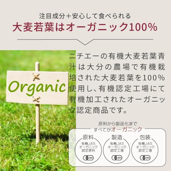 有機 大麦若葉 大分県産 1kg 500g 2袋 送料無料 ニチエー 有機 大麦若葉 大分県産 1kg 500g 2袋 送料無料 ニチエー
