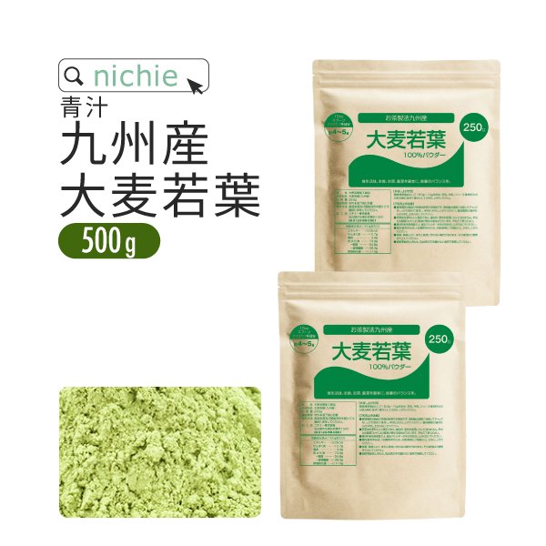 大麦若葉 茶製法 九州産 500g（250g×2袋）  