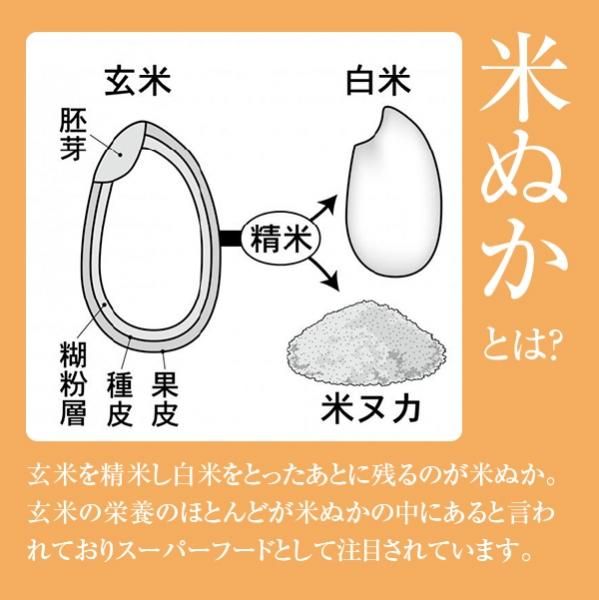 食べる米ぬか 粉末 100g 送料無料 ニチエー