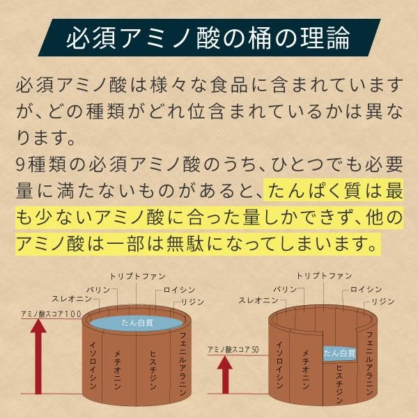 カゼインプロテイン 3kg（1kg×3袋） プレーン味 送料無料 ニチエー