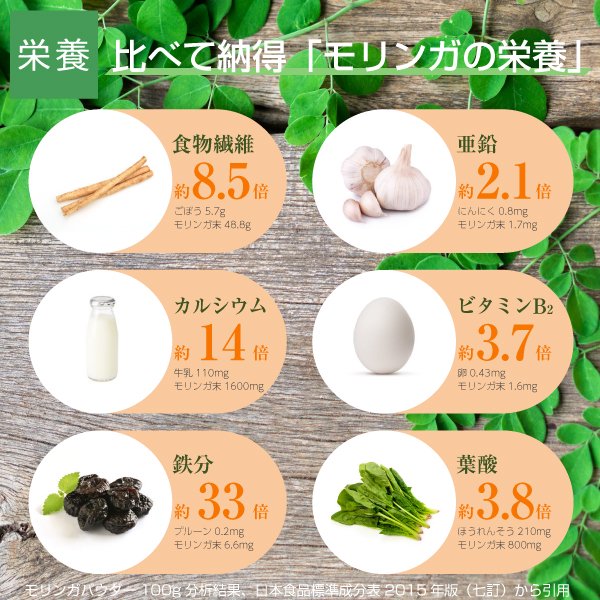 モリンガ茶 焙煎 80g 沖縄県産 送料無料 ニチエー