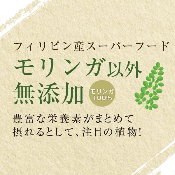 有機モリンガ 100% パウダー フィリピン産 100g - nichie ニチエー公式オンラインショップ 有機モリンガ 100% パウダー フィリピン産 100g - nichie ニチエー公式オンラインショップ