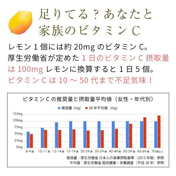 アスコルビン酸 ( ビタミンC ) 原末 950g 送料無料 ニチエー