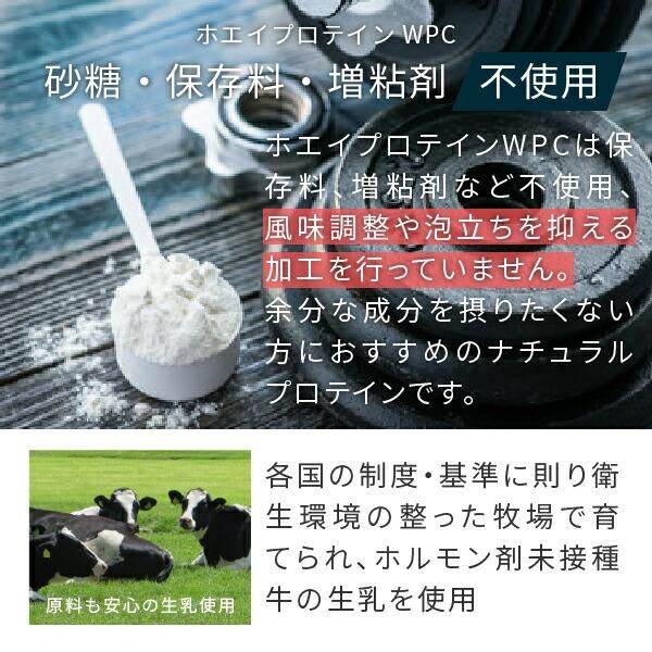 ホエイプロテイン WPC プレーン味 グラスフェッド 1kg - nichie ホエイプロテイン WPC プレーン味 グラスフェッド 1kg - nichie