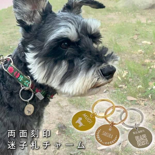 ステンレス 迷子札 ラウンド型チャーム - nichie ニチエー公式