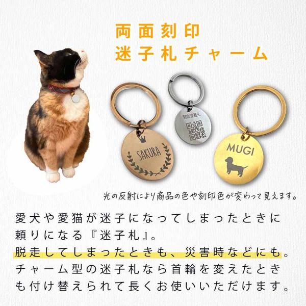 ステンレス 迷子札 ラウンド型チャーム - nichie ニチエー公式