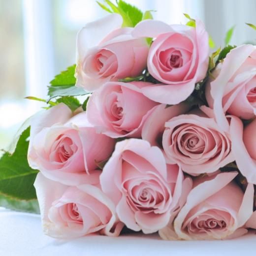 プロポーズに12本のバラの花束 告白シーンにぴったりなお花のプレゼントでサプライズ演出