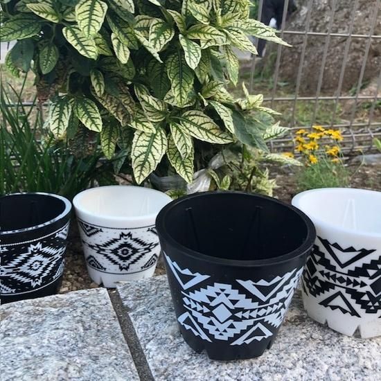 新品未使用/限定生産110枚】 PENDLETON ペンドルトン フロンティア