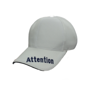 åסAttention GO!