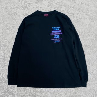 Hide and Seek/flyer l/s tee