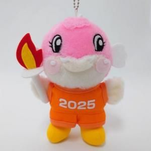 ܡ̤ߡ֥åեסڤ錄SHIGA񥹥ݡ㥹ݼ¹԰Ѱ