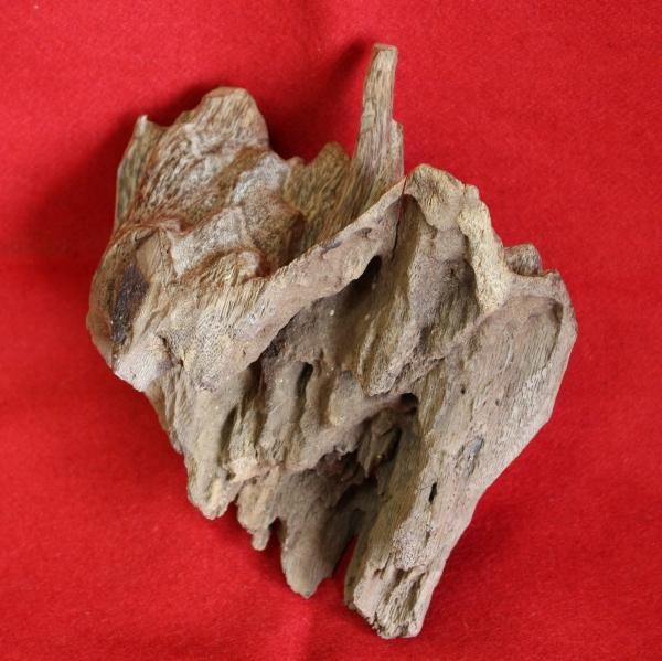 現品限り》ベトナム産 シャム沈香 244g - 古香堂 | お香・お線香の梅栄