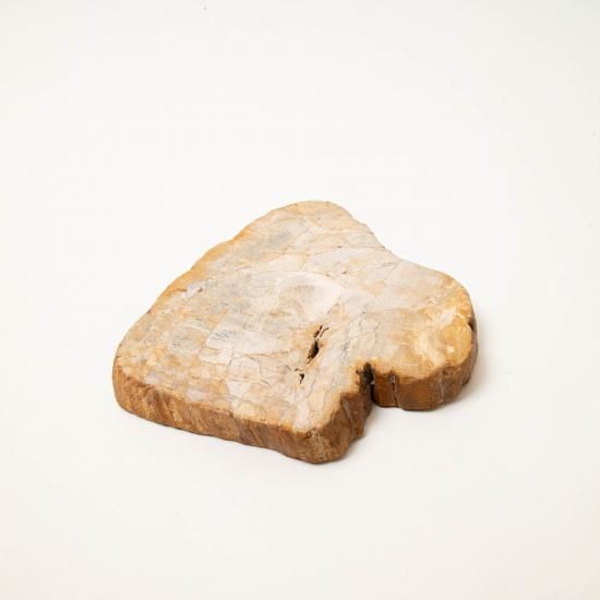 OAK Petrified Wood 【珪化木 Accessory Tray 「WS001」】 ー