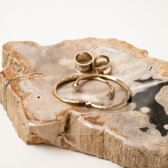 OAK Petrified Wood 【珪化木 Accessory Tray 「WS001」】 ー