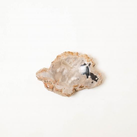 OAK Petrified Wood 【珪化木 Accessory Tray 「WS001」】 ー