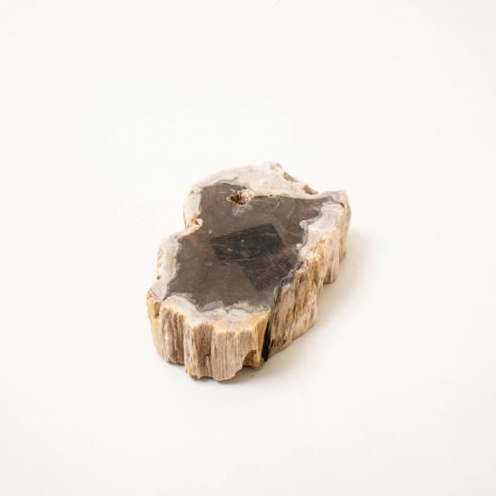 アクセサリートレイ　珪化木 OAK Petrified Wood 【珪化木 Accessory Tray 「WS001」】 ー