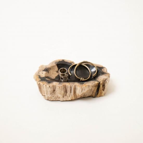 OAK Petrified Wood 【珪化木 Accessory Tray 「WS003」】 ー