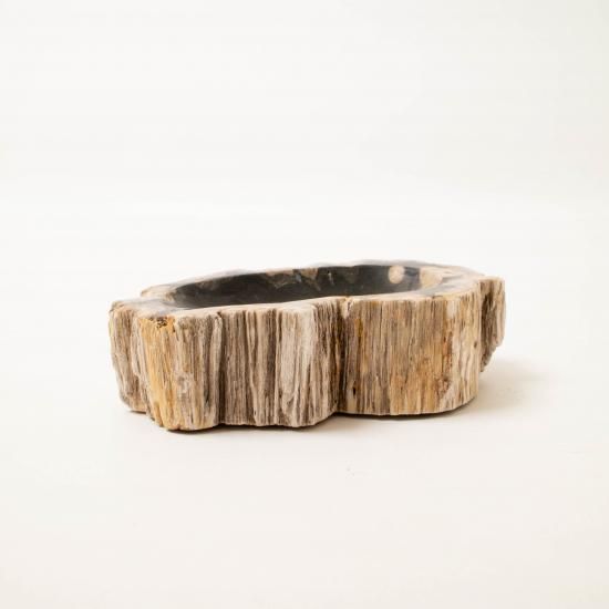 OAK Petrified Wood 【珪化木 Accessory Tray 「WS003」】 ー