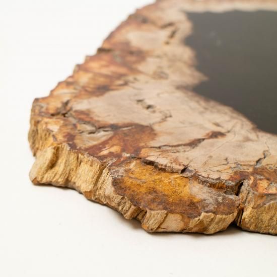 OAK Petrified Wood 【珪化木 Wood Plate 「WS0010」】 ー WEEKENDER SHOP