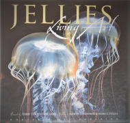 Jellies Living Art