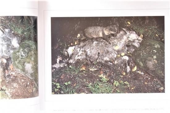 死 宮崎学写真集 署名入 - 古書古本買取販売 書肆 とけい草 死 宮崎学写真集 署名入 - 古書古本買取販売 書肆 とけい草