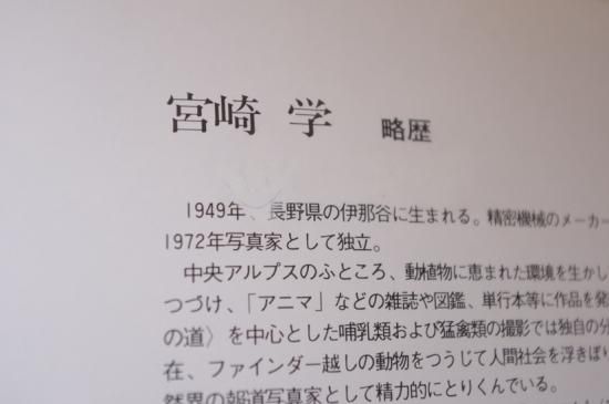 死 宮崎学写真集 署名入 - 古書古本買取販売 書肆 とけい草 死 宮崎学写真集 署名入 - 古書古本買取販売 書肆 とけい草