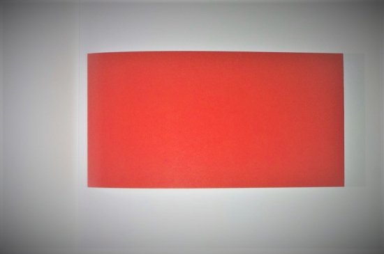 バーネット・ニューマン アメリカ抽象絵画の巨匠 Barnett Newman 図録 