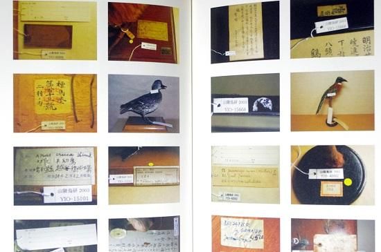 鳥学大全 東京大学創立百三十周年記念特別展示 鳥のビオソフィア