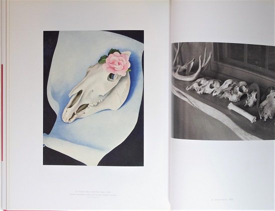 Georgia O'keeffe/John Loengard Paintings and Photographs 