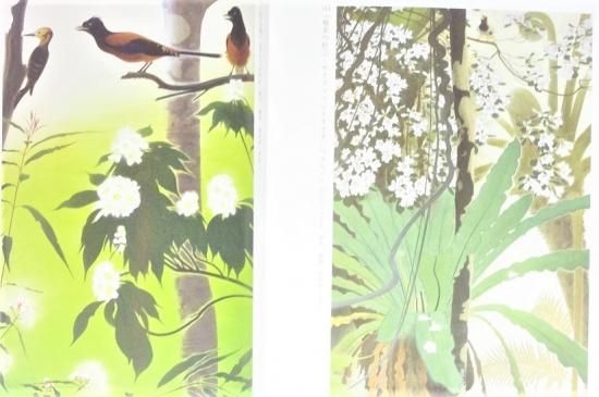 奄美を描いた画家 田中一村展 奄美群島日本復帰50周年記念 図録