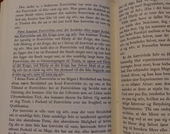kierkegaard samlede vaerker デンマーク語 キルケゴール全集 全20巻揃