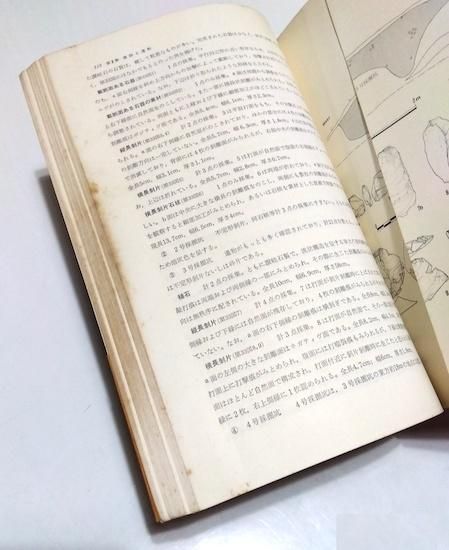 期間限定 数量限定 ふたがみ 二上山北麓石器時代遺跡群分布調査報告 古書古本買取 - 人文