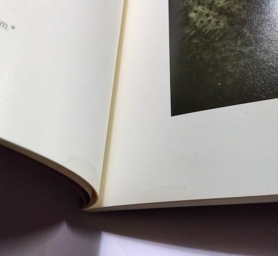 Pierre Molinier 英・仏)ピエール・モリニエ - 古書古本買取販売