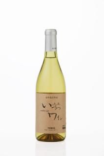 磻 ʥ䥬 ʿɡ720ml 2024