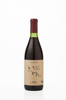 磻󡡰󥳡ɡ֡ʴšˡ720ml2022