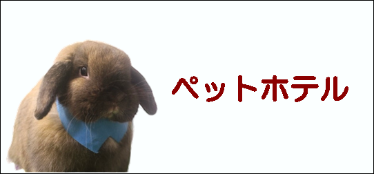 牧草入れ - うさぎ専門店 ろっか 牧草入れ - うさぎ専門店 ろっか