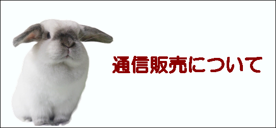 牧草入れ - うさぎ専門店 ろっか 牧草入れ - うさぎ専門店 ろっか
