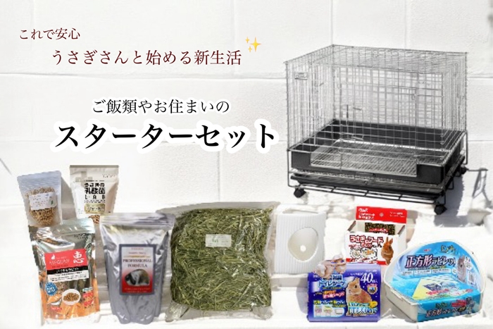 うさぎさん - うさぎ専門店 ろっか うさぎさん - うさぎ専門店 ろっか