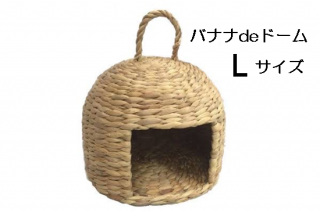 ХʥdeɡࡡL