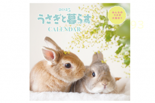 <img class='new_mark_img1' src='https://img.shop-pro.jp/img/new/icons41.gif' style='border:none;display:inline;margin:0px;padding:0px;width:auto;' />餹CALENDAR2025