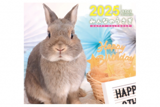 <img class='new_mark_img1' src='https://img.shop-pro.jp/img/new/icons41.gif' style='border:none;display:inline;margin:0px;padding:0px;width:auto;' />ߤʤΤHAPPYCALENDAR2025