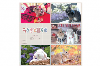 ¤¦¤µ¤®¤ÈÊë¤é¤¹¥«¥ì¥ó¥À¡¼2026