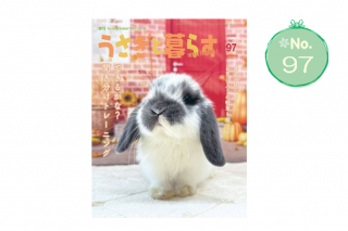 餹No97