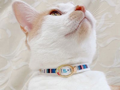 猫首輪はプレゼントにおすすめです！ | ハンドメイドの猫首輪の専門店【umuumu】