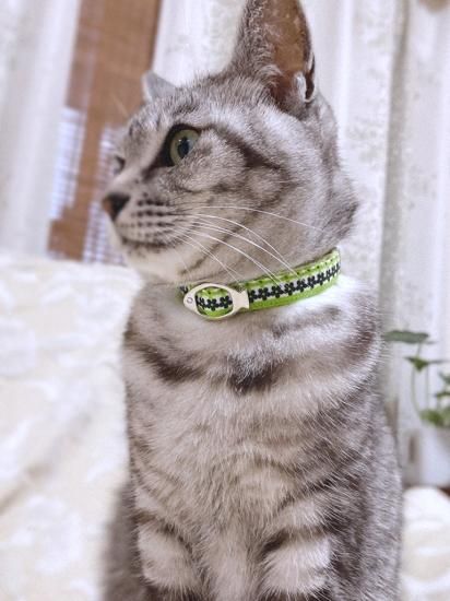 猫の首輪専門店【umuumu】-かわいい首輪デザイン専門店。