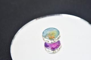 /īƱؤ̡ʥڥȥ㡼-r