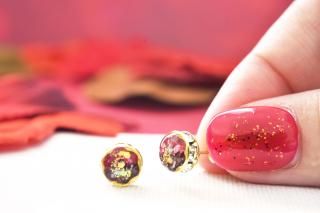 11۽ߥ˥ԥ/ߥ˥Υۡԥ