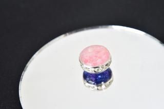 ѡ/Υؤ̡ʥڥȥ㡼-r